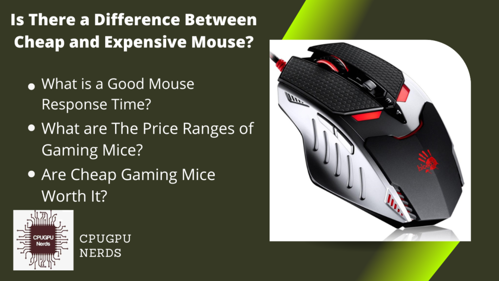 Is There a Difference Between Cheap and Expensive Mouse?